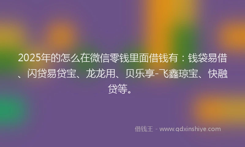 2025年的怎么在微信零钱里面借钱有：钱袋易借、闪贷易贷宝、龙龙用、贝乐享-飞鑫琼宝、快融贷等。