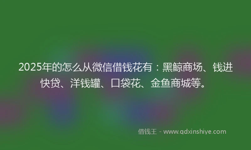 2025年的怎么从微信借钱花有：黑鲸商场、钱进快贷、洋钱罐、口袋花、金鱼商城等。