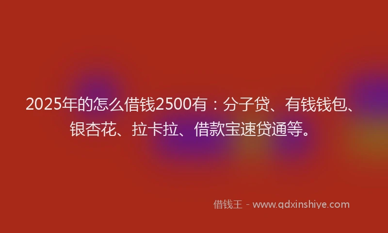 2025年的怎么借钱2500有：分子贷、有钱钱包、银杏花、拉卡拉、借款宝速贷通等。