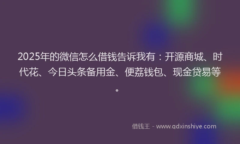 2025年的微信怎么借钱告诉我有：开源商城、时代花、今日头条备用金、便荔钱包、现金贷易等。