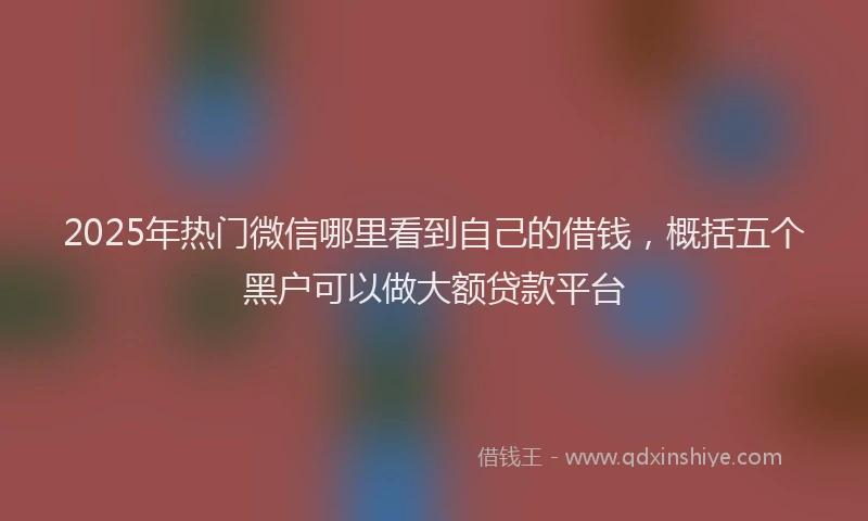 2025年热门微信哪里看到自己的借钱，概括五个黑户可以做大额贷款平台