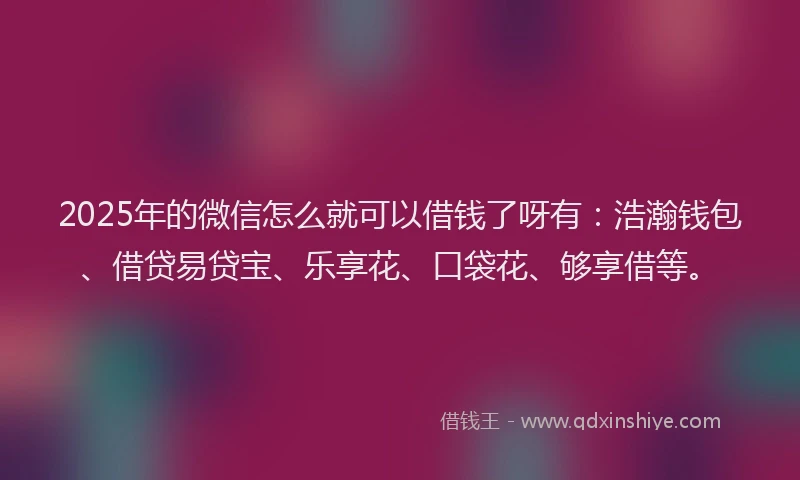 2025年的微信怎么就可以借钱了呀有：浩瀚钱包、借贷易贷宝、乐享花、口袋花、够享借等。