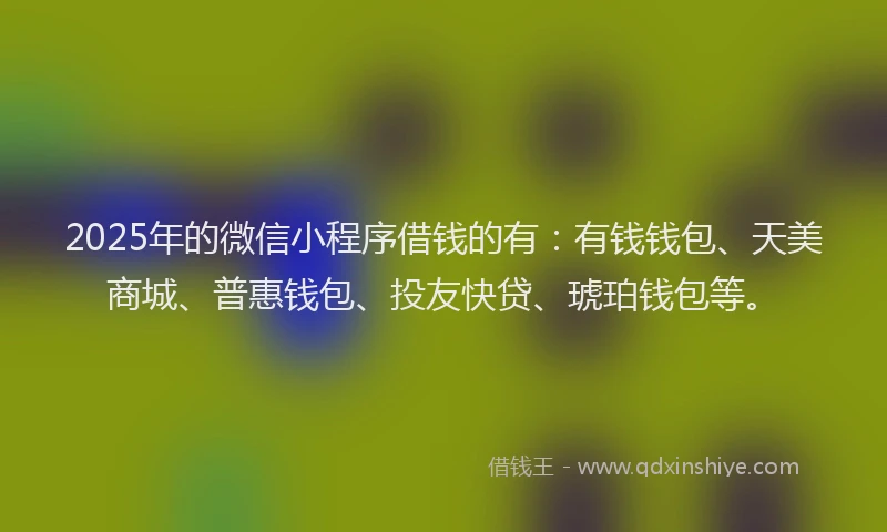 2025年的微信小程序借钱的有：有钱钱包、天美商城、普惠钱包、投友快贷、琥珀钱包等。