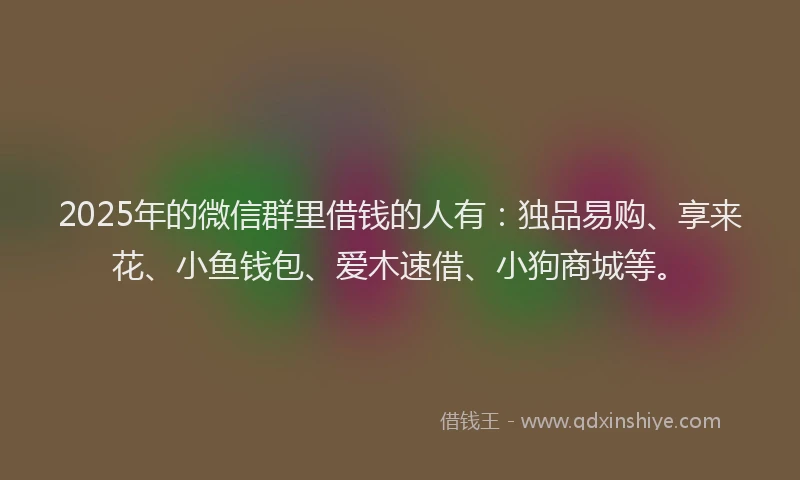 2025年的微信群里借钱的人有：独品易购、享来花、小鱼钱包、爱木速借、小狗商城等。