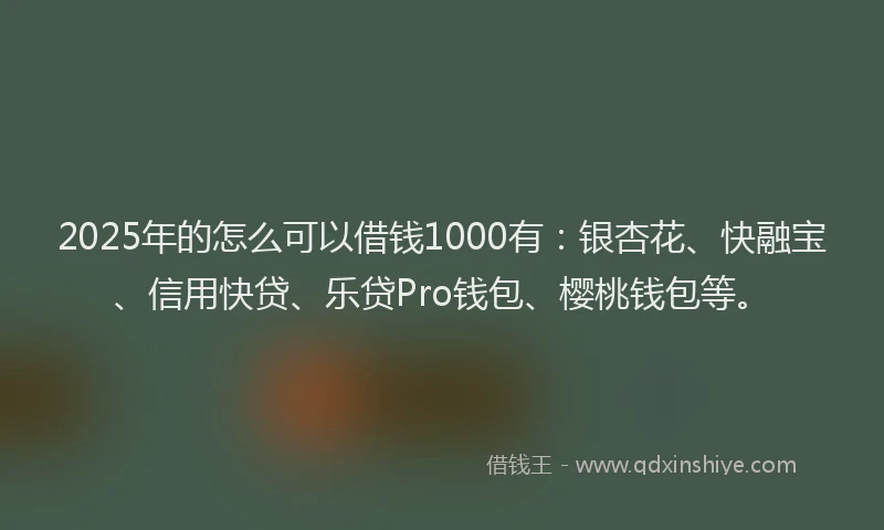 2025年的怎么可以借钱1000有：银杏花、快融宝、信用快贷、乐贷Pro钱包、樱桃钱包等。