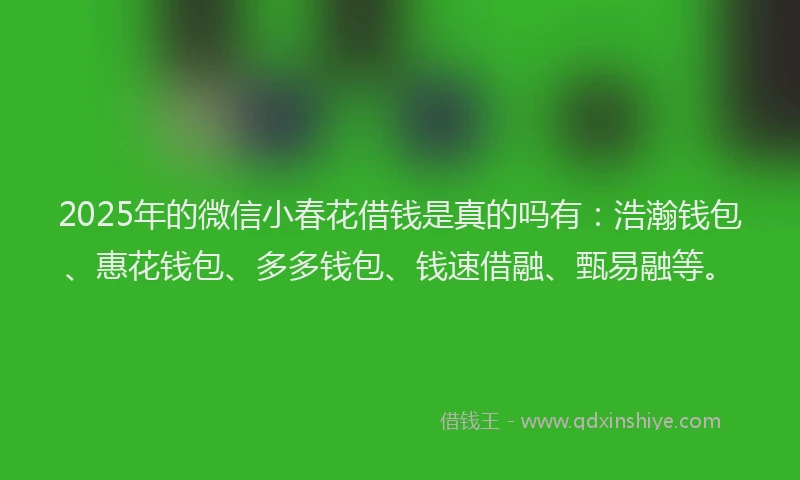2025年的微信小春花借钱是真的吗有：浩瀚钱包、惠花钱包、多多钱包、钱速借融、甄易融等。