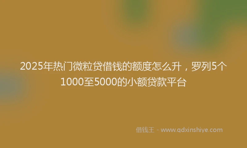 2025年热门微粒贷借钱的额度怎么升，罗列5个1000至5000的小额贷款平台