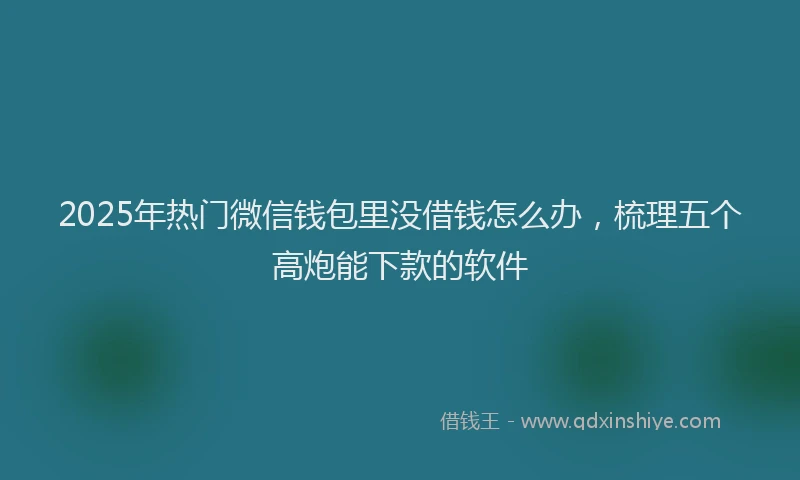2025年热门微信钱包里没借钱怎么办，梳理五个高炮能下款的软件