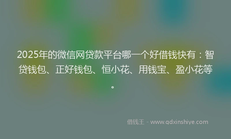 2025年的微信网贷款平台哪一个好借钱快有：智贷钱包、正好钱包、恒小花、用钱宝、盈小花等。