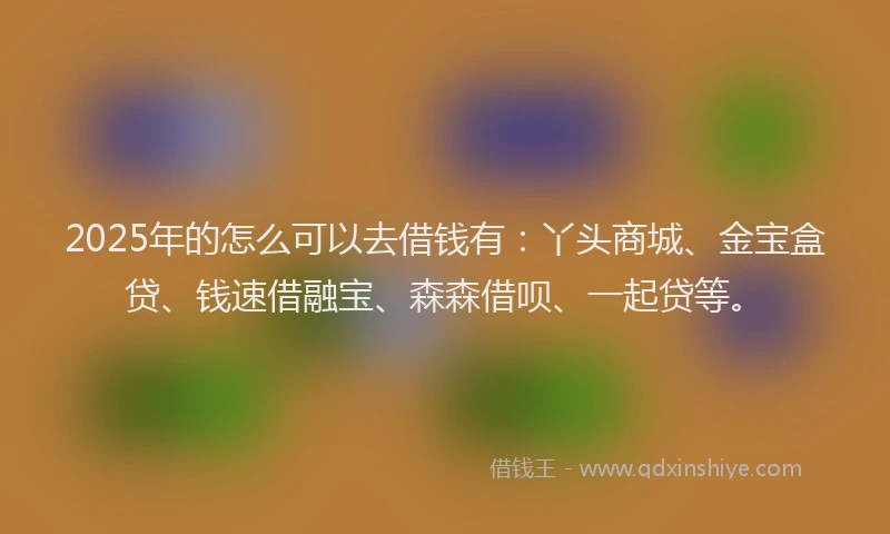 2025年的怎么可以去借钱有：丫头商城、金宝盒贷、钱速借融宝、森森借呗、一起贷等。