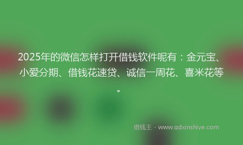 2025年的微信怎样打开借钱软件呢有：金元宝、小爱分期、借钱花速贷、诚信一周花、喜米花等。
