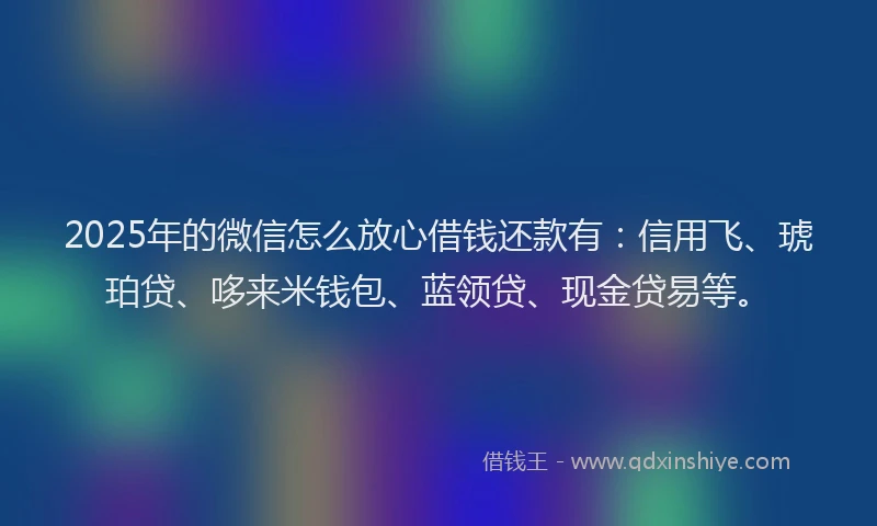 2025年的微信怎么放心借钱还款有：信用飞、琥珀贷、哆来米钱包、蓝领贷、现金贷易等。
