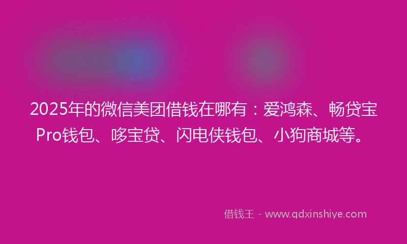 2025年的微信美团借钱在哪有：爱鸿森、畅贷宝Pro钱包、哆宝贷、闪电侠钱包、小狗商城等。