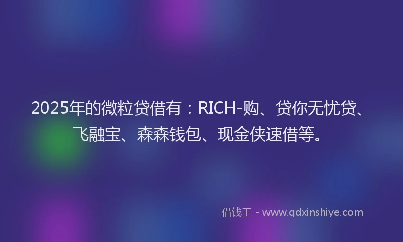 2025年的微粒贷借有：RICH-购、贷你无忧贷、飞融宝、森森钱包、现金侠速借等。