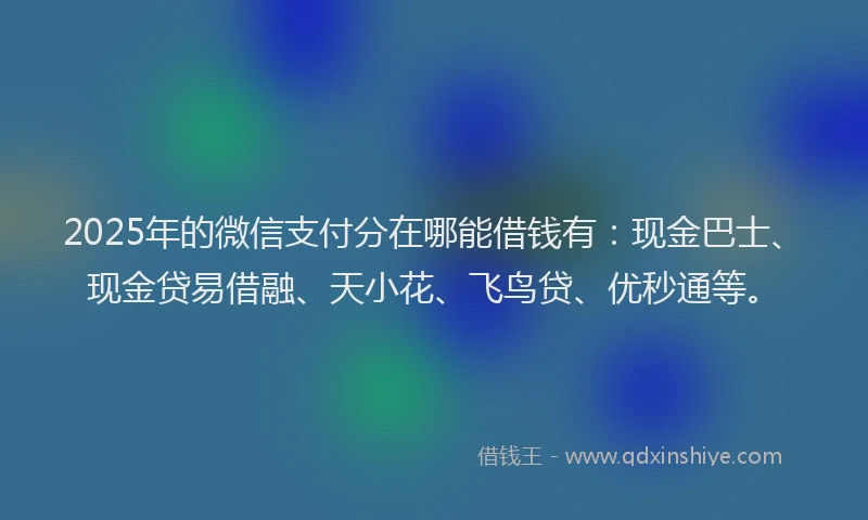 2025年的微信支付分在哪能借钱有：现金巴士、现金贷易借融、天小花、飞鸟贷、优秒通等。