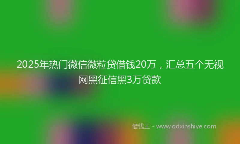 2025年热门微信微粒贷借钱20万，汇总五个无视网黑征信黑3万贷款