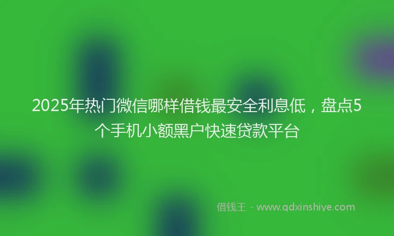 2025年热门微信哪样借钱最安全利息低，盘点5个手机小额黑户快速贷款平台