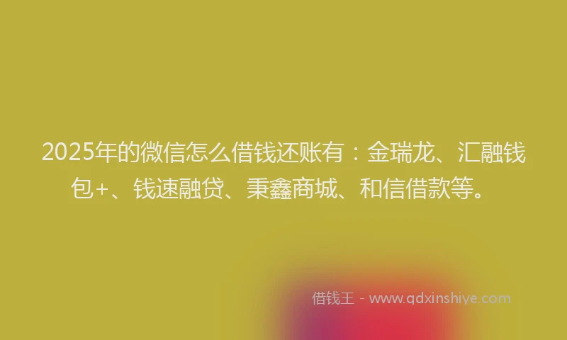 2025年的微信怎么借钱还账有：金瑞龙、汇融钱包+、钱速融贷、秉鑫商城、和信借款等。