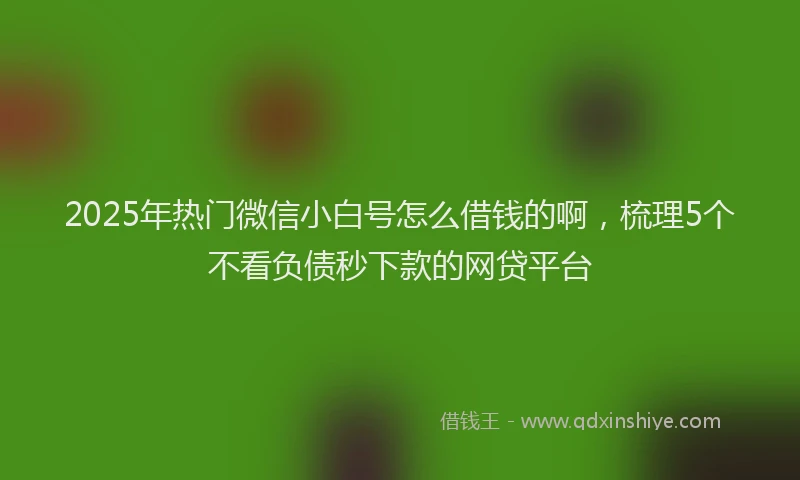2025年热门微信小白号怎么借钱的啊，梳理5个不看负债秒下款的网贷平台