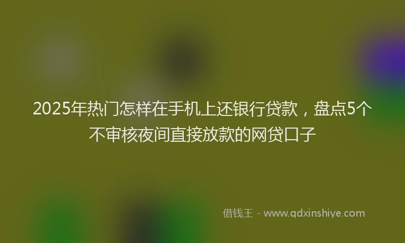 2025年热门怎样在手机上还银行贷款，盘点5个不审核夜间直接放款的网贷口子