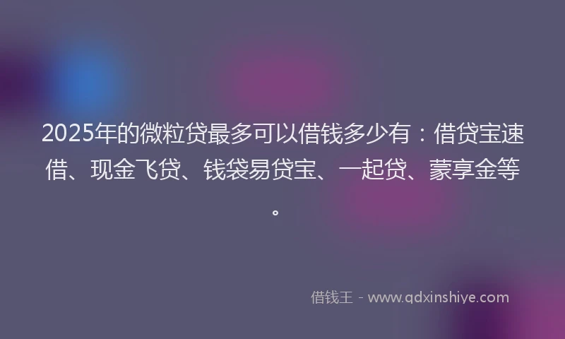 2025年的微粒贷最多可以借钱多少有：借贷宝速借、现金飞贷、钱袋易贷宝、一起贷、蒙享金等。