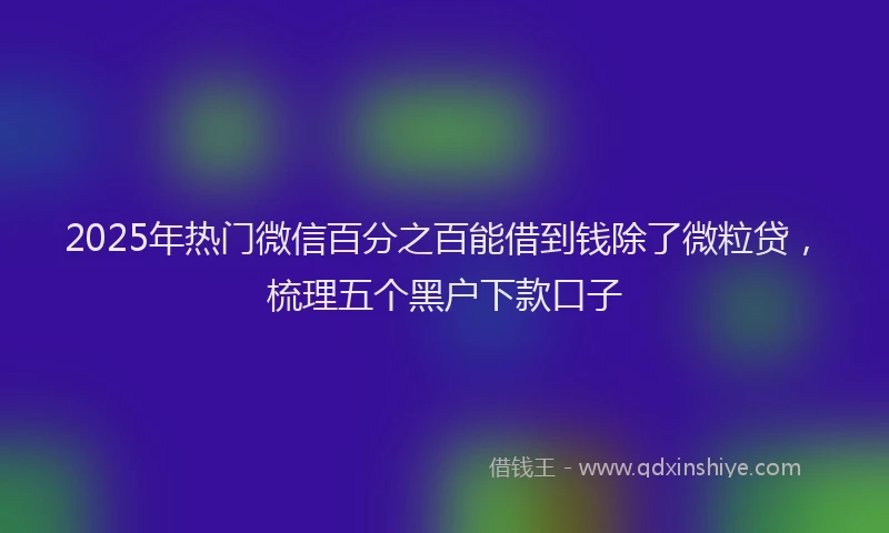 2025年热门微信百分之百能借到钱除了微粒贷,梳理五个黑户下款口子
