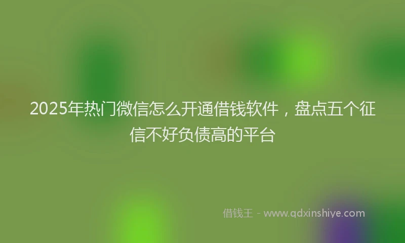 2025年热门微信怎么开通借钱软件，盘点五个征信不好负债高的平台