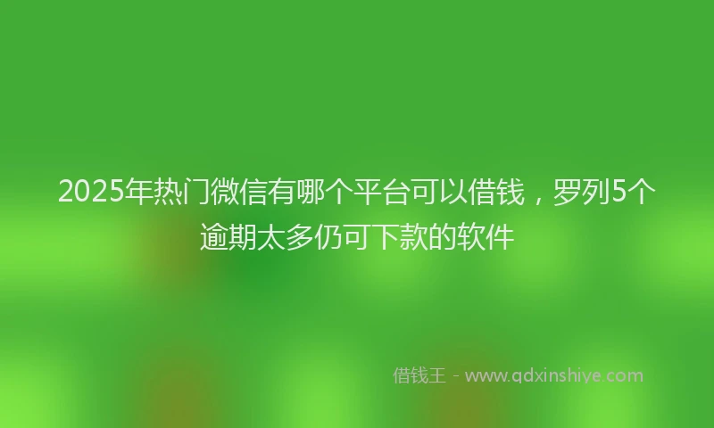 2025年热门微信有哪个平台可以借钱，罗列5个逾期太多仍可下款的软件