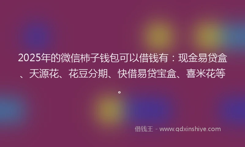 2025年的微信柿子钱包可以借钱有：现金易贷盒、天源花、花豆分期、快借易贷宝盒、喜米花等。