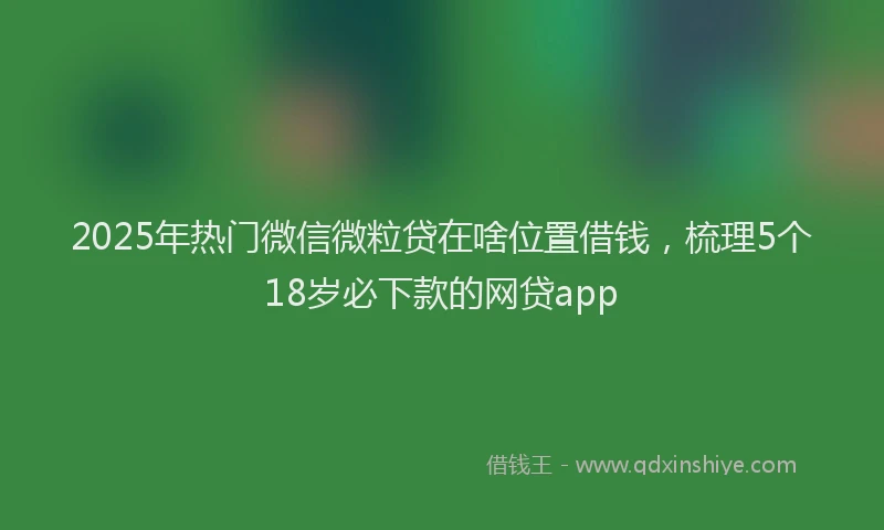 2025年热门微信微粒贷在啥位置借钱，梳理5个18岁必下款的网贷app