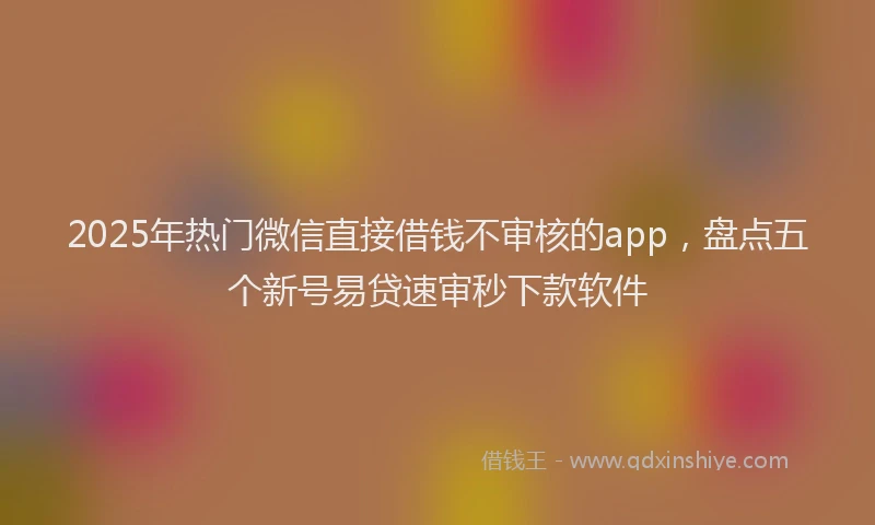 2025年热门微信直接借钱不审核的app，盘点五个新号易贷速审秒下款软件