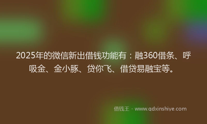 2025年的微信新出借钱功能有：融360借条、呼吸金、金小豚、贷你飞、借贷易融宝等。