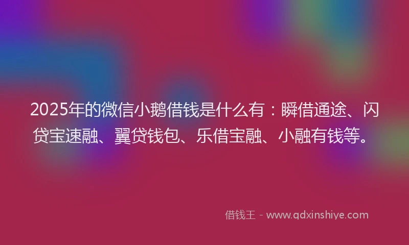2025年的微信小鹅借钱是什么有：瞬借通途、闪贷宝速融、翼贷钱包、乐借宝融、小融有钱等。