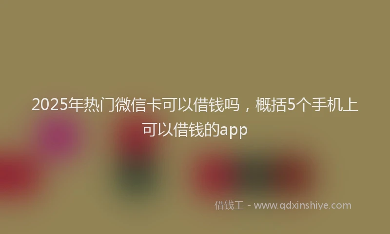 2025年热门微信卡可以借钱吗，概括5个手机上可以借钱的app