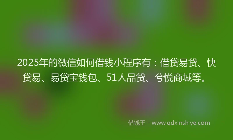 2025年的微信如何借钱小程序有：借贷易贷、快贷易、易贷宝钱包、51人品贷、兮悦商城等。