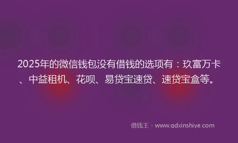 2025年的微信钱包没有借钱的选项有：玖富万卡、中益租机、花呗、易贷宝速贷、速贷宝盒等。