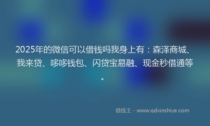 2025年的微信可以借钱吗我身上有：森泽商城、我来贷、哆哆钱包、闪贷宝易融、现金秒借通等。