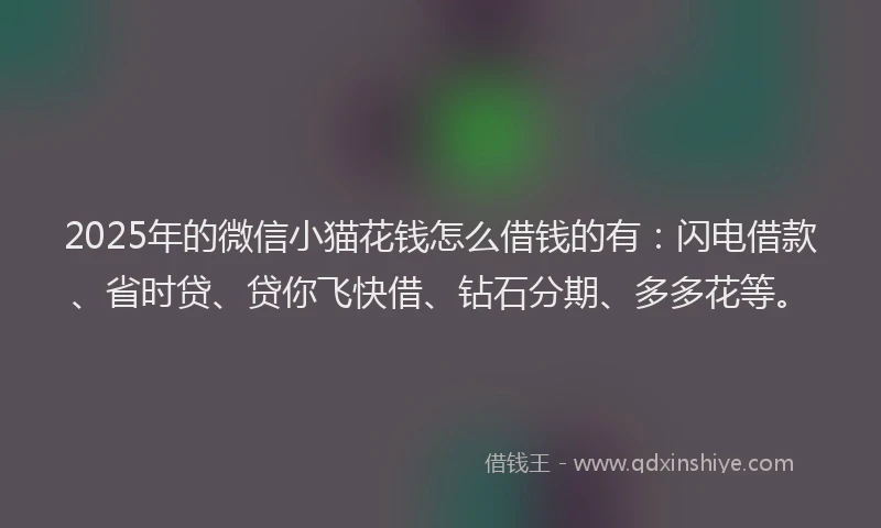 2025年的微信小猫花钱怎么借钱的有：闪电借款、省时贷、贷你飞快借、钻石分期、多多花等。