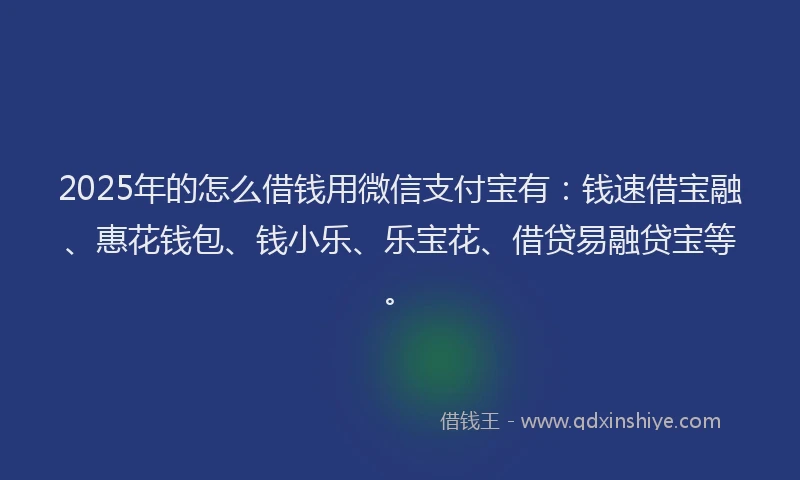 2025年的怎么借钱用微信支付宝有：钱速借宝融、惠花钱包、钱小乐、乐宝花、借贷易融贷宝等。