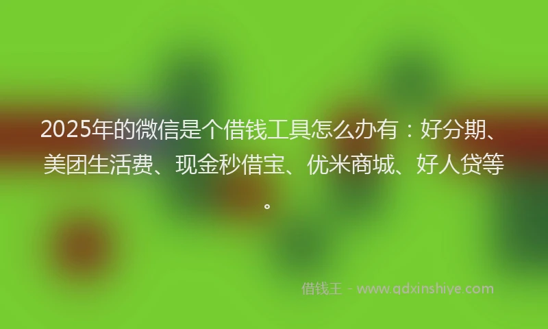2025年的微信是个借钱工具怎么办有：好分期、美团生活费、现金秒借宝、优米商城、好人贷等。