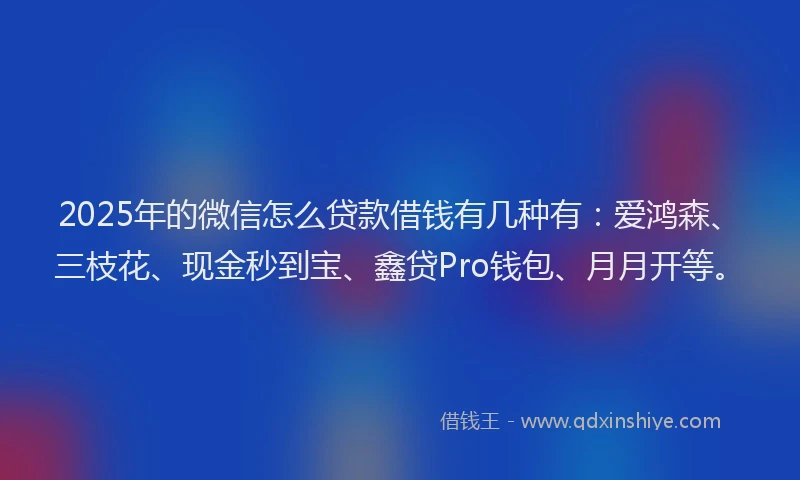 2025年的微信怎么贷款借钱有几种有：爱鸿森、三枝花、现金秒到宝、鑫贷Pro钱包、月月开等。