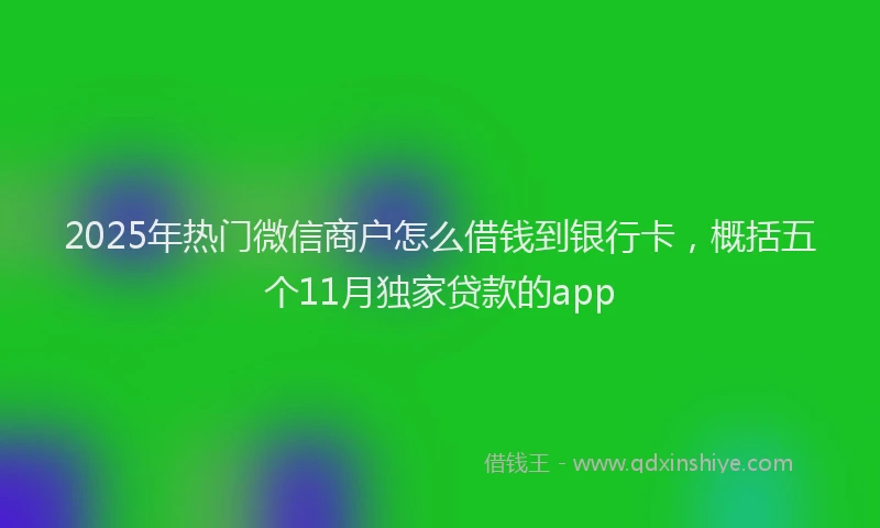 2025年热门微信商户怎么借钱到银行卡，概括五个11月独家贷款的app