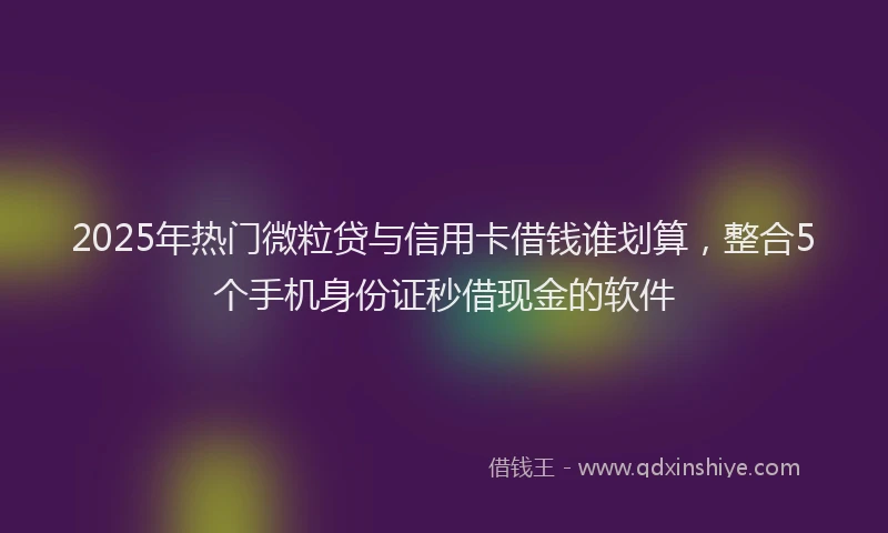 2025年热门微粒贷与信用卡借钱谁划算，整合5个手机身份证秒借现金的软件