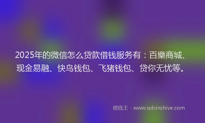 2025年的微信怎么贷款借钱服务有：百樂商城、现金易融、快鸟钱包、飞猪钱包、贷你无忧等。