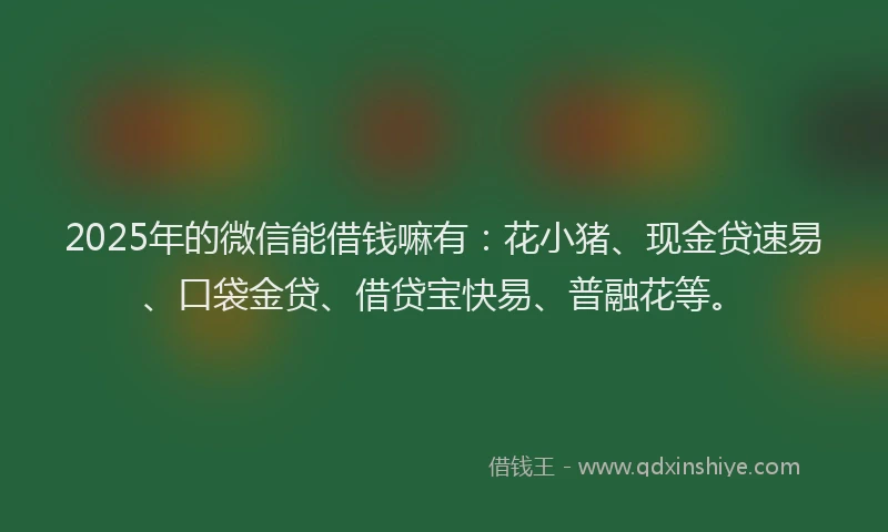 2025年的微信能借钱嘛有：花小猪、现金贷速易、口袋金贷、借贷宝快易、普融花等。