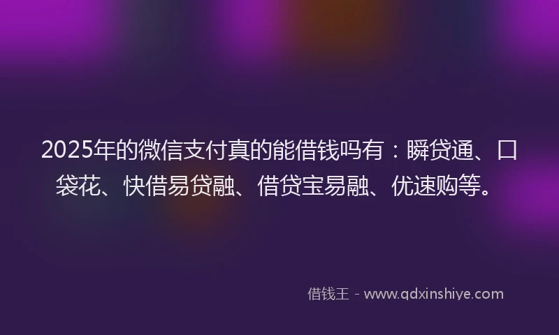 2025年的微信支付真的能借钱吗有：瞬贷通、口袋花、快借易贷融、借贷宝易融、优速购等。