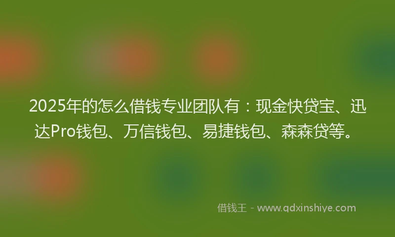 2025年的怎么借钱专业团队有：现金快贷宝、迅达Pro钱包、万信钱包、易捷钱包、森森贷等。