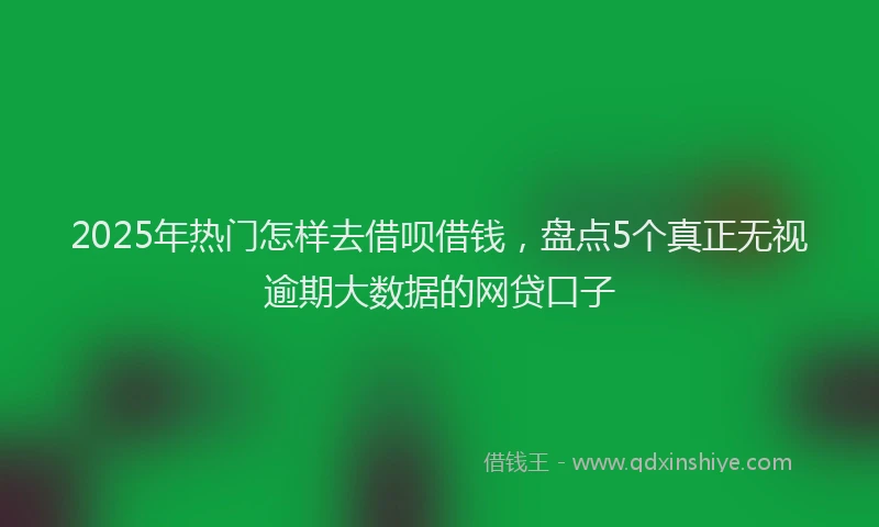 2025年热门怎样去借呗借钱，盘点5个真正无视逾期大数据的网贷口子