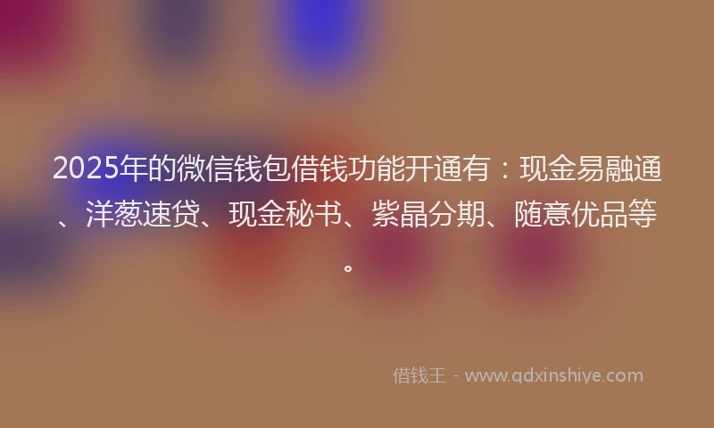 2025年的微信钱包借钱功能开通有:现金易融通、洋葱速贷、现金秘书、紫晶分期、随意优品等。