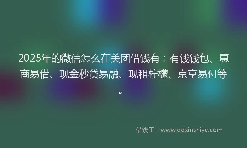 2025年的微信怎么在美团借钱有：有钱钱包、惠商易借、现金秒贷易融、现租柠檬、京享易付等。